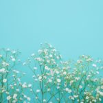 一目惚れ相手とのLINEの話題は?あなたの相談をすることポイントの1つ!