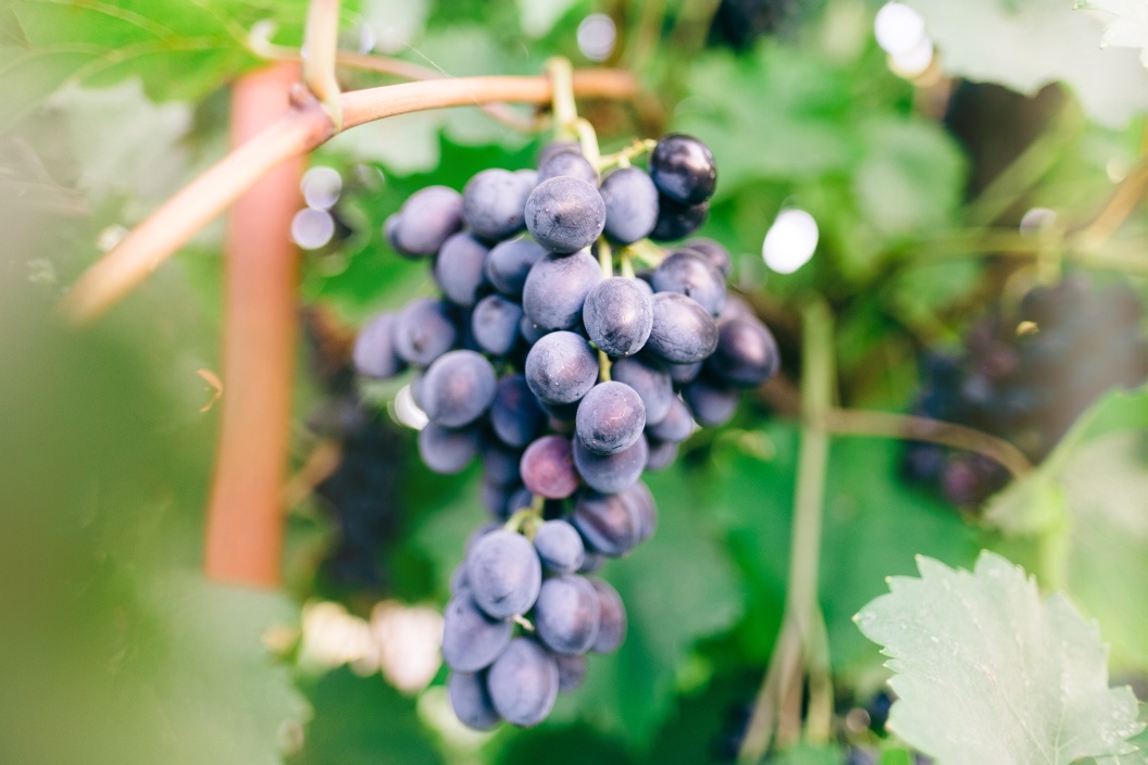 一目惚れとは 一目惚れとはどんな感じ 感覚 アプローチ 場所 画像