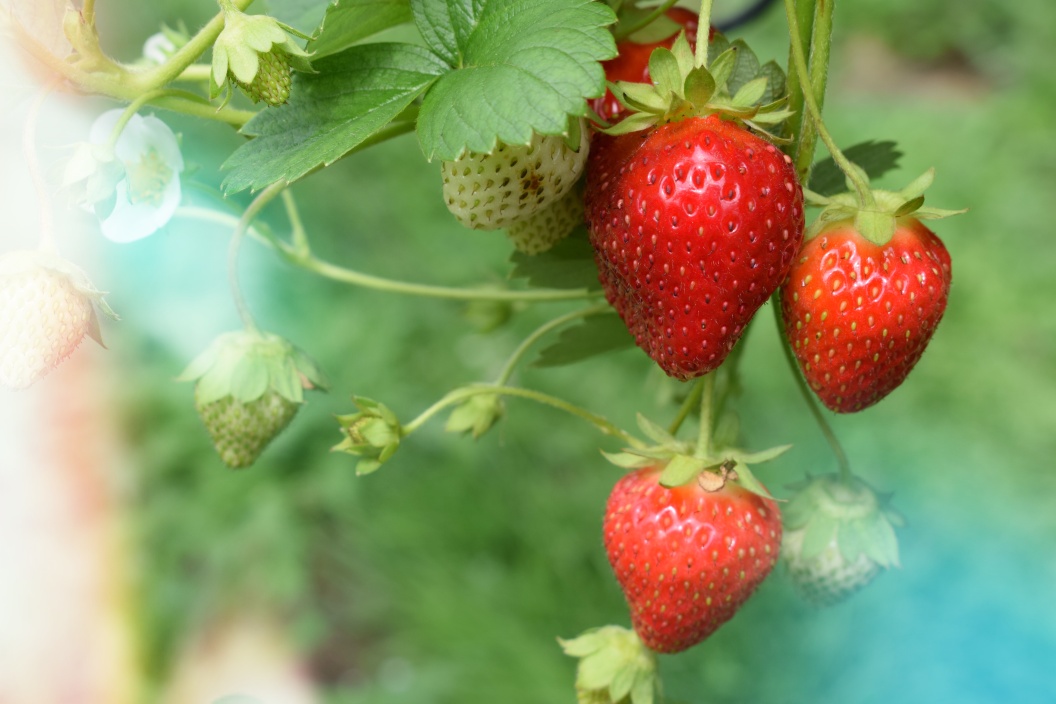 一目惚れとは 一目惚れとはどんな感じ 感覚 アプローチ 場所 画像