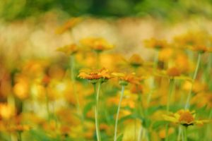 男性美容師の好意の見分け方は？脈ありサインは？６つの行動と会話を厳選！