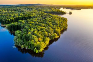 一目惚れ　アプローチ　女性から男性　方法　画像