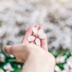 一目惚れは長続きしないって本当?気になる理由はたったの2つ?別れない方法も考えた!