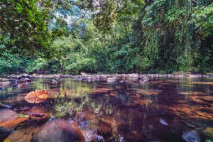 激務なエステ店からの帰宅中の電車で一目惚れ【女性 30代前半 主婦】