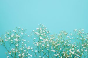 一目惚れ相手とのＬＩＮＥの話題は？あなたの相談をすることポイントの１つ！