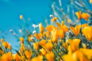 一目惚れの告白の場所はどうする？５ヶ所のパターンを分析してみました！