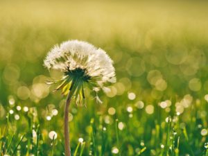 一目惚れされたい女性の仕草はどんなの？男性をドキッとさせる５つの方法まとめ！