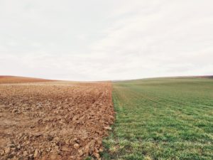 一目惚れ　衝撃　時が止まる　どんな感じ　時が画像