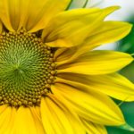 医者へ一目惚れした時のアプローチ方法【通院編】知らなきゃ損する４パターン！