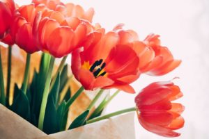 お互い　一目惚れ　運命の人　出会い　本当　画像