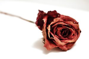 一目惚れが苦しい。相手があなたに興味ない時にする４つの対処法