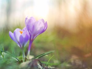 お互いが一目惚れだった時の６つの行動パターン！あなたはどれに当てはまる？