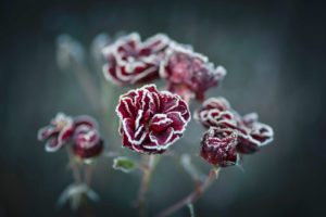 一目惚れ　男性　冷める　瞬間　画像