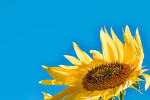 既婚男性　一目惚れ　アプローチ　画像