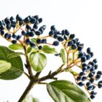 ２９歳彼氏なしで経験なしはやばい？何から始めればいいかをアドバイス！