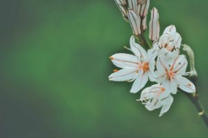 一目惚れ相手とのＬＩＮＥの話題！知らなきゃ損する８つの王道＆鉄板ネタ！