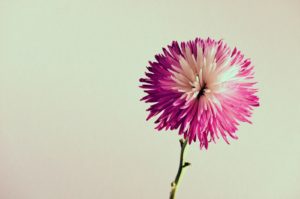 一目惚れされた　わかる　瞬間　男性　女性　画像