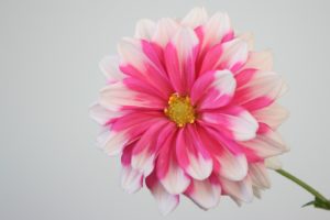 一目惚れさせる方法。男性の心が動く女性の視線編