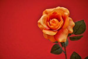 一目惚れが叶うおまじない知らないきゃ損する６つの方法