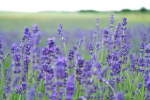 婚活で初めて男性とデート！最適な時間の長さはどれくらい？回答はたったの１つ！