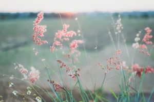 彼氏の浮気の兆候がLINEで出てきた？特徴的な５つの傾向！事前に把握しておこう