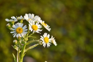 彼氏　同棲　構ってくれない　画像