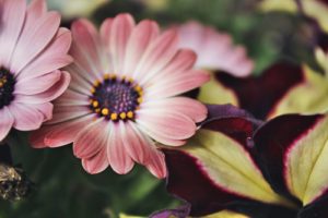 浮気疑惑がある彼氏を泳がせる効果的な方法とは？知らなきゃ損する４つの方法！