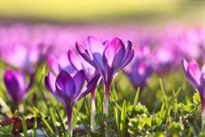 彼氏　浮気　怪しい　黒　物的証拠　画像