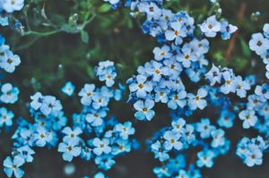 彼氏の浮気相手を撃退する方法？知らなきゃ損する鉄板４つの方法！【保存版】