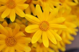 ジムのインストラクターに一目惚れ！魅惑な４つのアプローチ方法！【保存版】