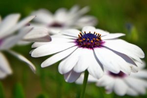 一目惚れをして寝れなくなった場合の対処法