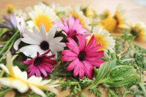 ZOOMオンライン授業で一目惚れしたあなたへ！鉄板５つのアプローチ方法！【保存版】