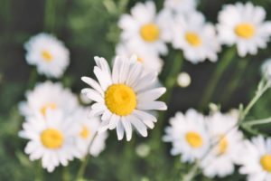 一目惚れ　相手　話しかける　角度　画像