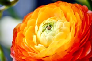 男性銀行員の新人君に一目惚れ！魅惑な５つのアプローチ方法をまとめてみた！