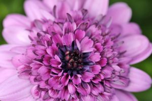 居酒屋のバイト店員に一目惚れ！4つのアプローチ方法