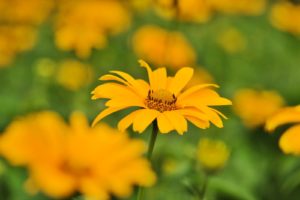 電車で一目惚れした時の話しかける方法！相手はスーツを着た社会人男性