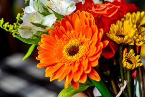 一目惚れ相手と２回目のデートが大切な4つの理由