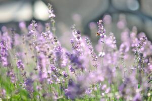 本屋の店員に一目惚れ！アプローチはどうする？４つ鉄板な方法をまとめてみた！