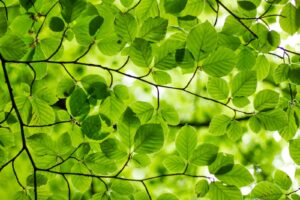 予備校で一目惚れ！４つのアプローチ方法！知らなきゃ損する接点の作り方は？