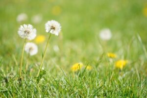 郵便局の局員に一目惚れ！知らなきゃ損する４つのアプローチ方法をまとめた！