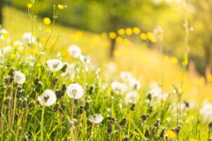 大学の図書館で一目惚れ！アプローチ方法はどうする？鉄板５つの方法を公開！