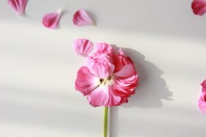 一目惚れされるのがうざいし嫌い！興味がないことをわからせる５つの方法まとめ