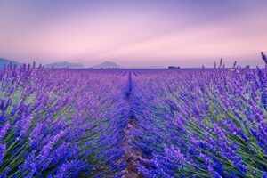 バーで一目惚れ！アプローチの方法から連絡先交換まで！プロセスを総まとめ