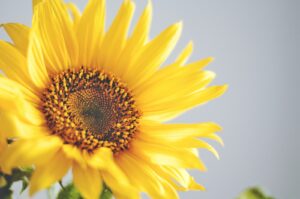 海で一目惚れ！５つのアプローチ方法！知らなきゃ損するきっかけ作りまとめ！