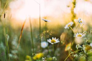 居酒屋のお客さんに一目惚れ！知らなきゃ損する５つのアプローチ方法！【保存版】