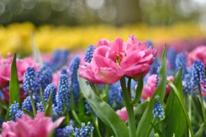 通勤電車で一目惚れ！成功に導く5つのアプローチ方法