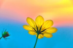 新入社員に一目惚れしたあなたへ【知っておきたい５つのデメリット】