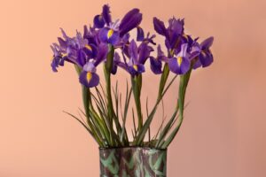 高学歴男性に一目惚れ！！不安になる前に試してほしい５つの方法とは？