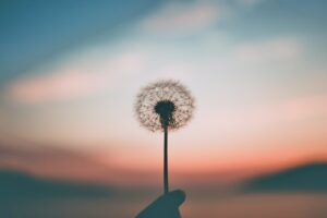 彼氏がいるのに一目惚れしたあなたへ【3つのアドバイス】